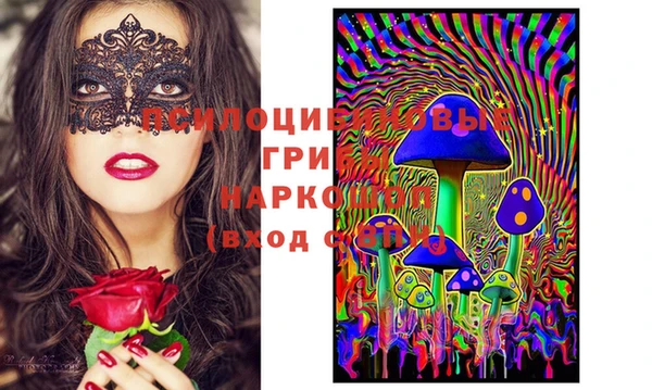 трава Новокубанск